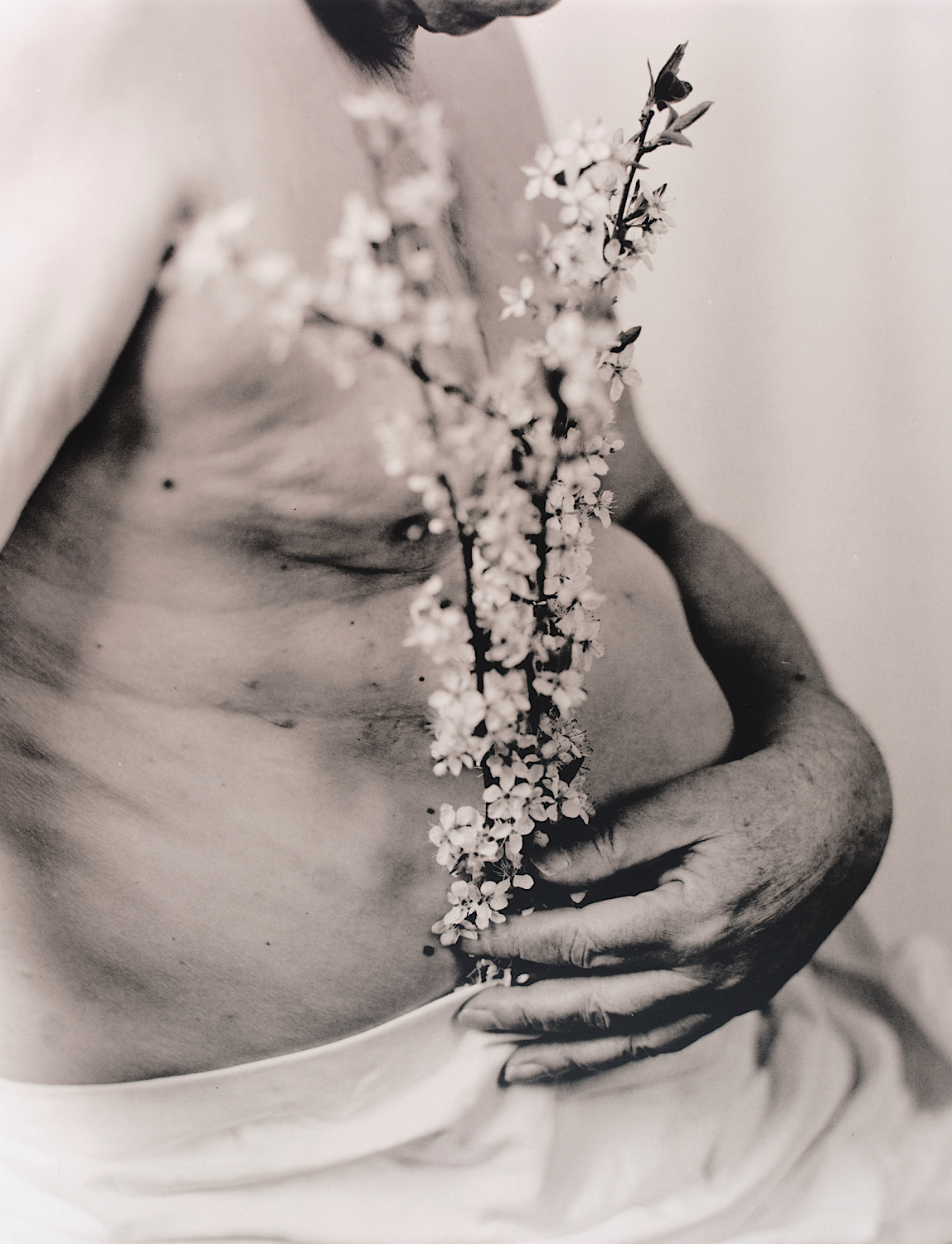 blossom beauty - lith print