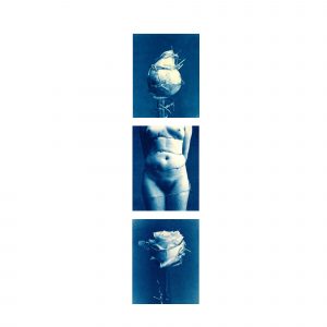 the beauty within - série de 3, impressions cyanotype